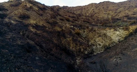 Woolsey Fire Aftermath Stock Footage 99613573