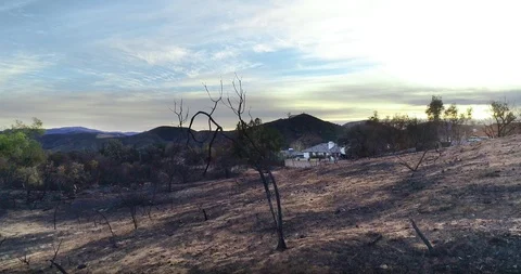 Woolsey Fire Aftermath Stock Footage 99613636
