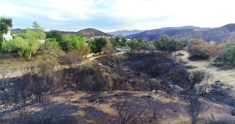 Woolsey Fire Aftermath Stock Footage 99614632