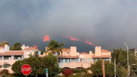 Woolsey Fire Hillside 1 Stock Footage 98952696