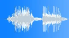 Woosh Whoosh Short Fast Transition 5 Sound Effect