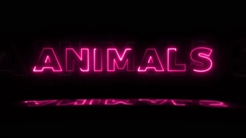 Word 'ANIMALS' neon glowing on a black b... | Stock Video | Pond5