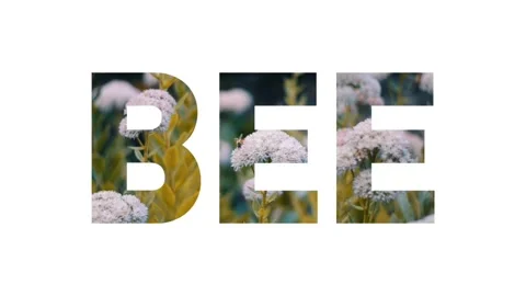 The word "BEE" on a white background with a bee pollinating some flowers Stock Footage 302273153