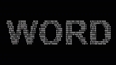 Word. Binary code in the screen. Looping footage. Illustration. Stock Footage 124442881