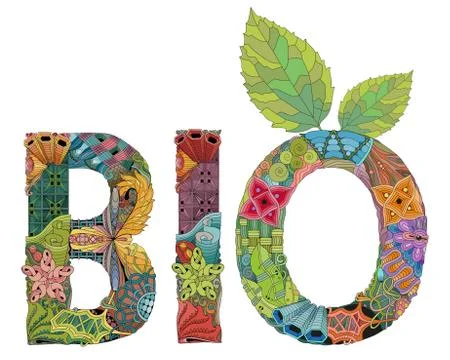 Word BIO. Vector zentangle object for decoration Illustrazione stock