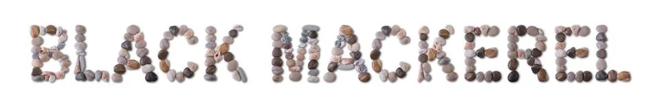 The word "BLACK MACKEREL" is lined with shells and stones of different shapes Stock Photos