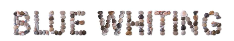 The word "BLUE WHITING" is lined with shells and stones of different shapes.. Stock Photos