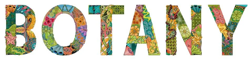 Word Botany. Vector zentangle object for decoration Illustrazione stock