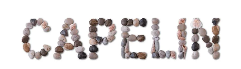The word "CAPELIN" is lined with shells and stones of different shapes and .. Stock Photos