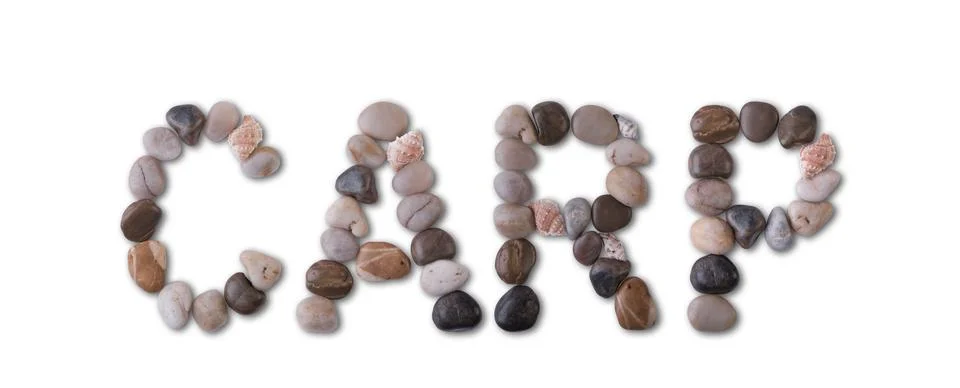 The word "CARP" is lined with shells and stones of different shapes and color Stock Photos