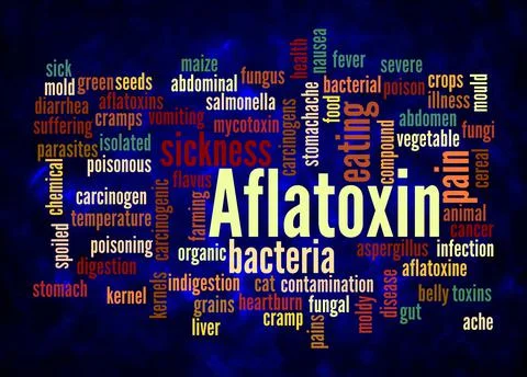 Word Cloud with AFLATOXIN concept create with text only Stock Illustration