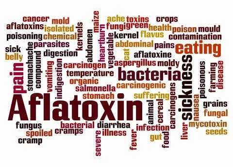 Word Cloud with AFLATOXIN concept create with text only Stock Illustration