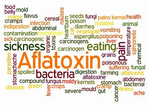 Word Cloud with AFLATOXIN concept create with text only Illustration