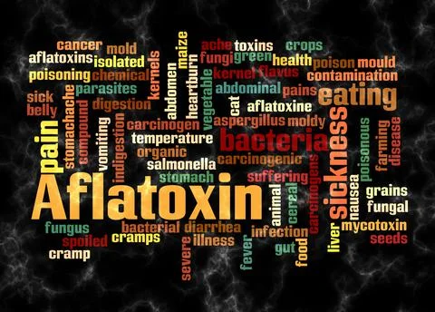 Word Cloud with AFLATOXIN concept create with text only Stock Illustration