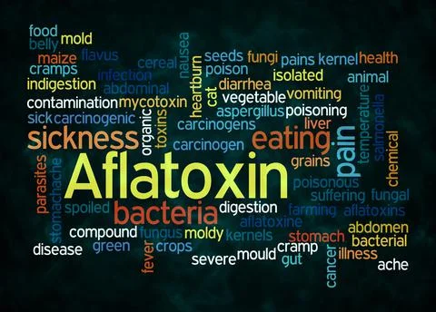 Word Cloud with AFLATOXIN concept create with text only Illustrazione stock