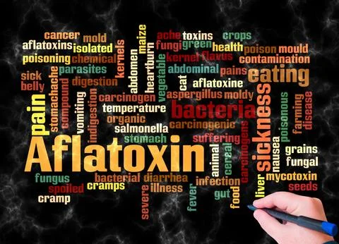 Word Cloud with AFLATOXIN concept create with text only Illustrazione stock