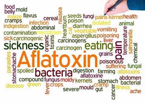 Word Cloud with AFLATOXIN concept create with text only Illustrazione stock