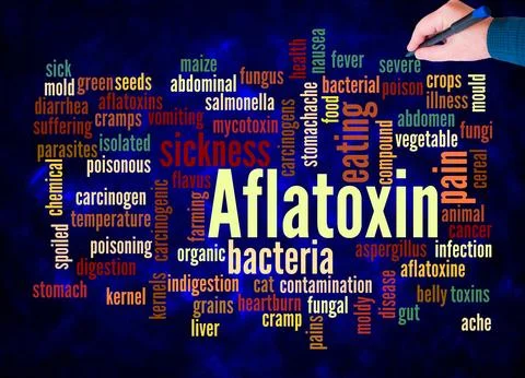 Word Cloud with AFLATOXIN concept create with text only Illustrazione stock
