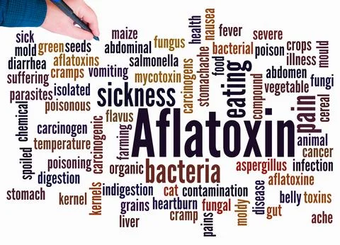 Word Cloud with AFLATOXIN concept create with text only Illustration
