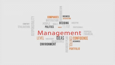 Word Cloud Alpha Backround Management Side Stock Footage 291702872