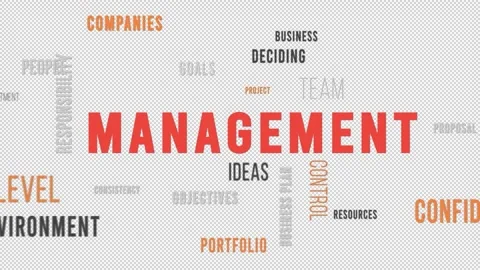 Word Cloud Alpha Backround Management Video stock 291703507