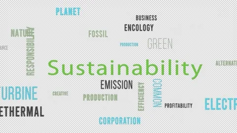 Word Cloud Alpha Backround Sustainability Side Stock Footage 291709924