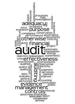 Word cloud of audit and its related words Stock Illustration