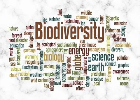 Word Cloud with BIODIVERSITY concept create with text only Stock Illustration