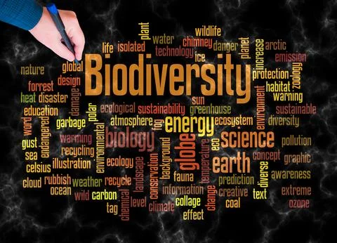 Word Cloud with BIODIVERSITY concept create with text only Illustrazione stock