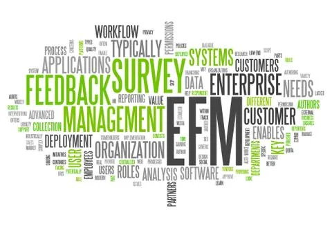 Word cloud enterprise feedback management Illustrazione stock