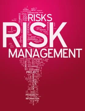 Word cloud risk management Illustrazione stock