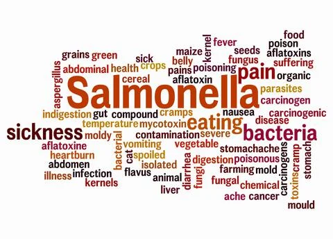 Word Cloud with SALMONELLA concept create with text only Stock Illustration