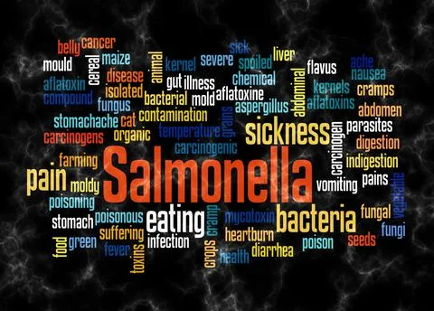 Word Cloud with SALMONELLA concept create with text only Illustrazione stock
