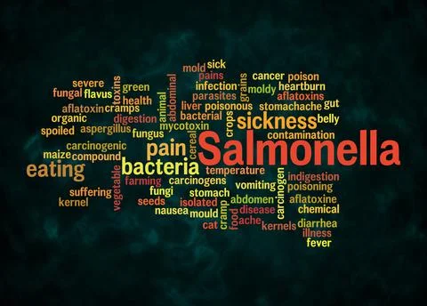 Word Cloud with SALMONELLA concept create with text only Stock Illustration
