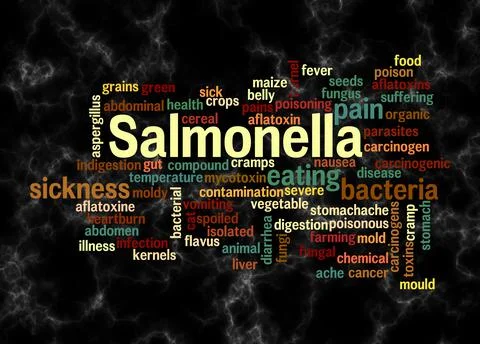 Word Cloud with SALMONELLA concept create with text only Illustration