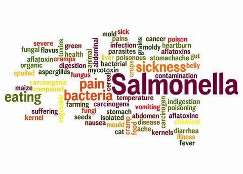 Word Cloud with SALMONELLA concept create with text only Stock Illustration