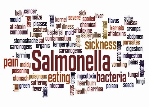 Word Cloud with SALMONELLA concept create with text only Stock Illustration