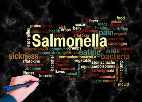 Word Cloud with SALMONELLA concept create with text only Illustration
