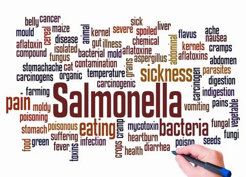 Word Cloud with SALMONELLA concept create with text only Illustrazione stock