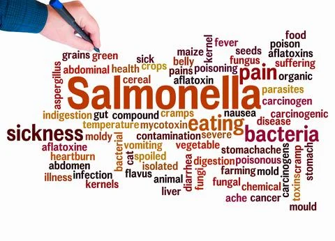 Word Cloud with SALMONELLA concept create with text only Illustration