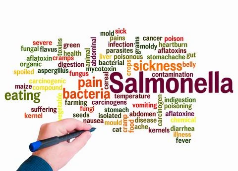 Word Cloud with SALMONELLA concept create with text only Illustration