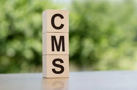 The word CMS - Custom Management System, built from wooden cubes outdoors on  Stock Photos