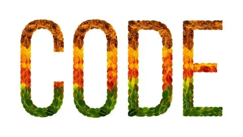 Word Code written with leaves white isolated background, banner for printing Stock Photos