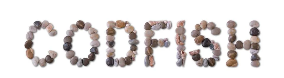 The word "CODFISH" is lined with shells and stones of different shapes and co 写真素材