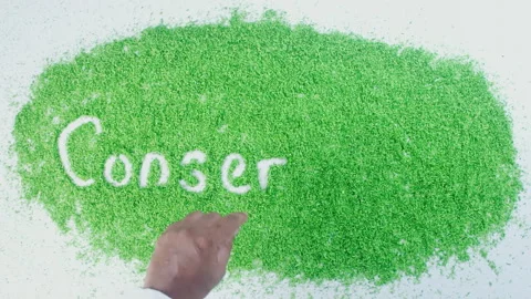 Word conservation written in green sand Stock Footage 248637008