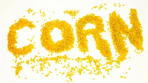 Word "corn" written with dried corn grains on white background. Stock Illustration