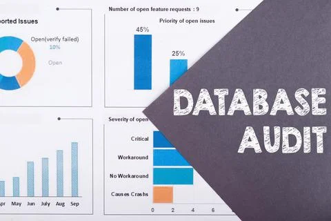 The word DATABASE AUDIT is written on a gray background with diagrams and gra Stock Photos
