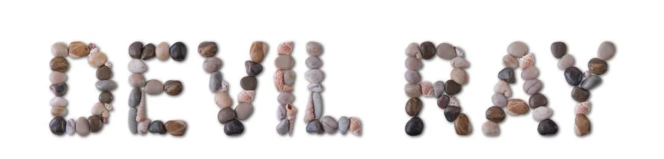 The word "DEVIL RAY" is lined with shells and stones of different shapes an.. 스톡 사진