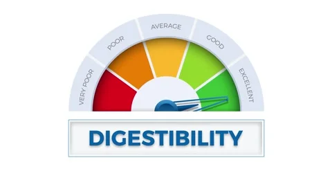 The word Digestibility on meter. Speedometer which measures the level of ex.. Stock Footage 254657999