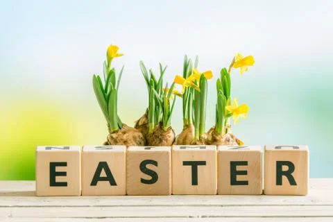 The word easter with daffodil flowers Stock Photos